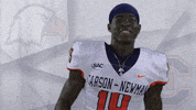 Carson Newman Football GIF by Carson-Newman Athletics