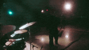 Concert Performance GIF by St. Panther