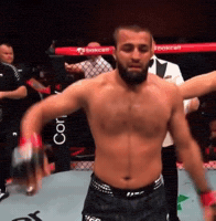 Ufc Aze GIF