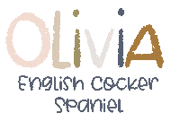 Cocker Spaniel Olivia Sticker by hello matze illustrations
