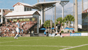 Usl Championship GIF by Charleston Battery