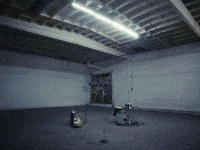 Chase Lawrence GIF by COIN