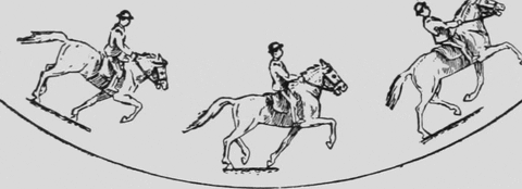 horse GIF
