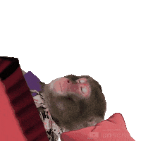 Good Night Monkey Sticker