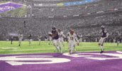Football Celebration GIF by Minnesota Vikings