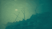 Season One Swim GIF by Sea of Thieves