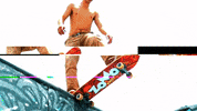 zomopaper skate skateboarding sk8 skatista GIF