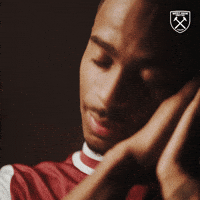 Premier League Football GIF by West Ham United