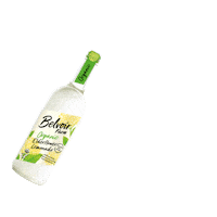 Celebrate New Years Sticker by Belvoir Lemonades & Cordials