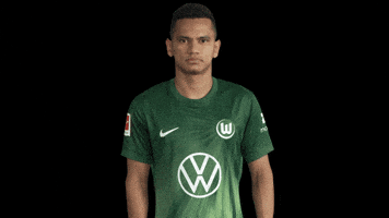 Three Points Win GIF by VfL Wolfsburg