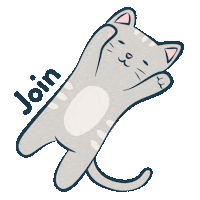 Cat Sleep Sticker by Joey Mattress