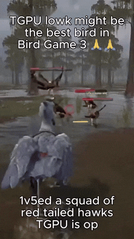 Bird Ai GIF