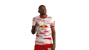 No Way Football Sticker by RB Leipzig