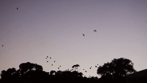 Loop Sky GIF by A. L. Crego