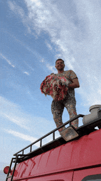 Hit Drop GIF by Bebetta