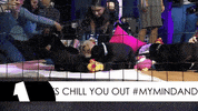 black lab omg GIF by BBC