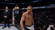 ufc 206 GIF
