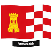 Castilla Y Leon Flag Sticker by Formación Ninja