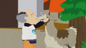 llama kissing GIF by South Park 