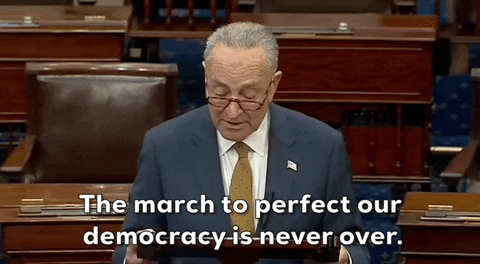 Chuck Schumer Congress GIF by GIPHY News