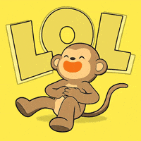 Happy Lmao GIF by Wise Monkey Meme