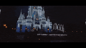 Dftw GIF by Switzerfilm