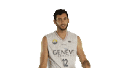 Basketball No Sticker by Lions de Genève