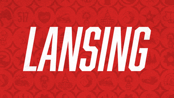 Premier League Football GIF by Lansing Common FC