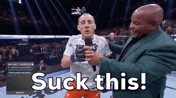Mixed Martial Arts Sport GIF by UFC