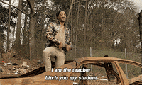 Disaster GIF by Damez