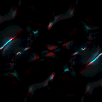 kronogenesis megasoma GIF