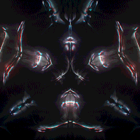 kronogenesis megasoma GIF