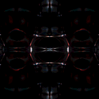 kronogenesis megasoma GIF