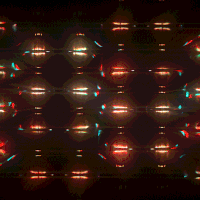 megasoma kronogenesis GIF