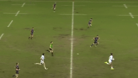 fabrice estebanez stop GIF by FCG Rugby