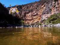 You Can Wow GIF by FranchiseONE.de