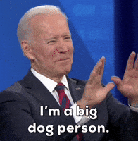 Joe Biden GIF by GIPHY News