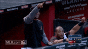 tomas celebrate GIF by MLB