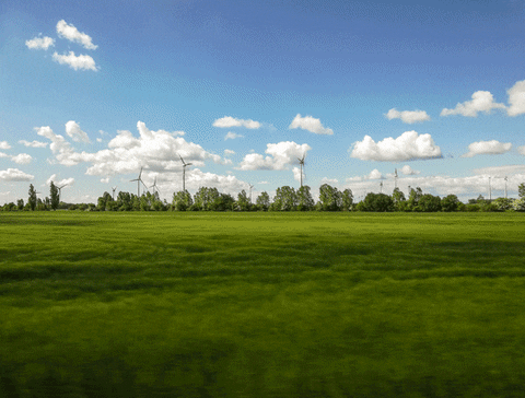 evakosinar giphyupload art photo landscape GIF