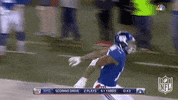 New York Giants Football GIF by NFL