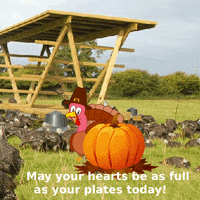 Fall Autumn GIF
