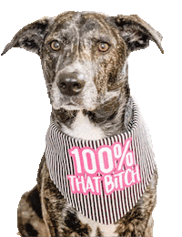 Dog Puppy Sticker