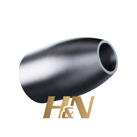 Hnslug Sticker by HNSPORT