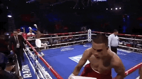 toprank giphyupload fight boxing fighting GIF