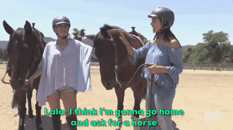 vanderpump rules horse GIF by Bravo TV