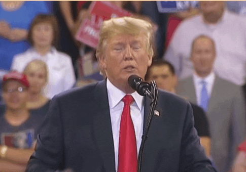Political gif. Donald Trump stands in front of an audience as he bites his bottom lip and flings a pointed finger forward. 