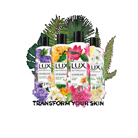 Body Wash Beauty Sticker by LUX South Africa