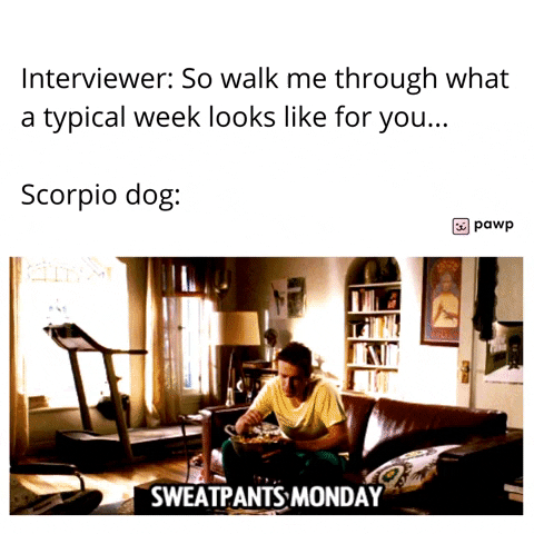 mypawp giphyupload GIF