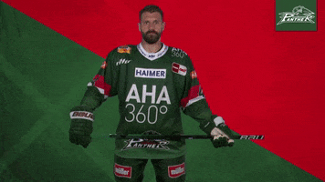 Hockey Lol GIF by Augsburger Panther Eishockey GmbH