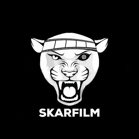 SkarFilm director panther skarfilm GIF
